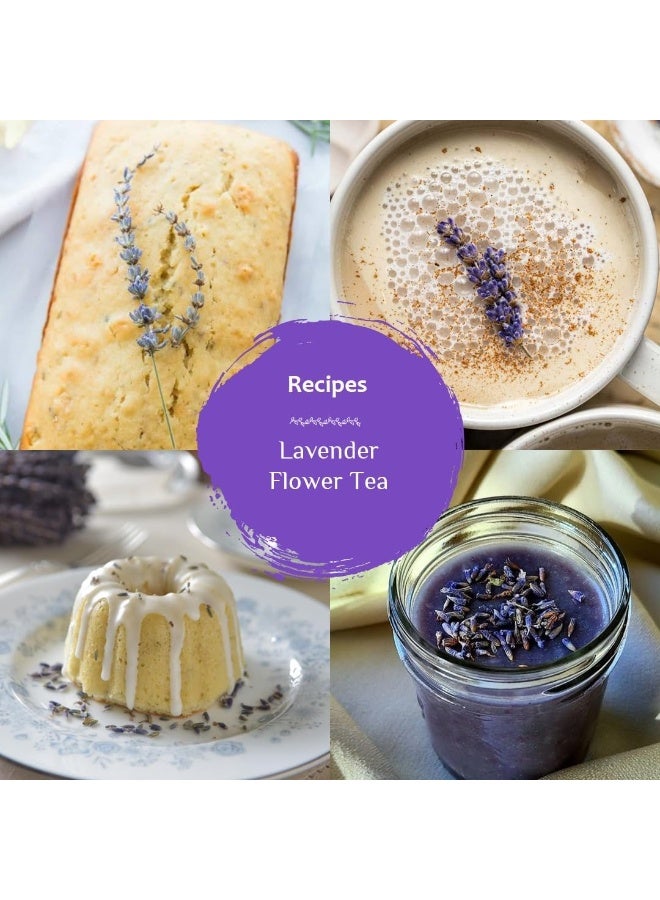 الشاي الأزرق شاي اللافندر 30 جرام | 30 كوب | شاي الأعشاب المهدئ | على أساس الزهور | خالية من الكائنات المعدلة وراثيا | خالي من الكافيين | طبيعي | ظهرت على خزان القرش | جرة PET قابلة لإعادة الاستخدام - Image 5