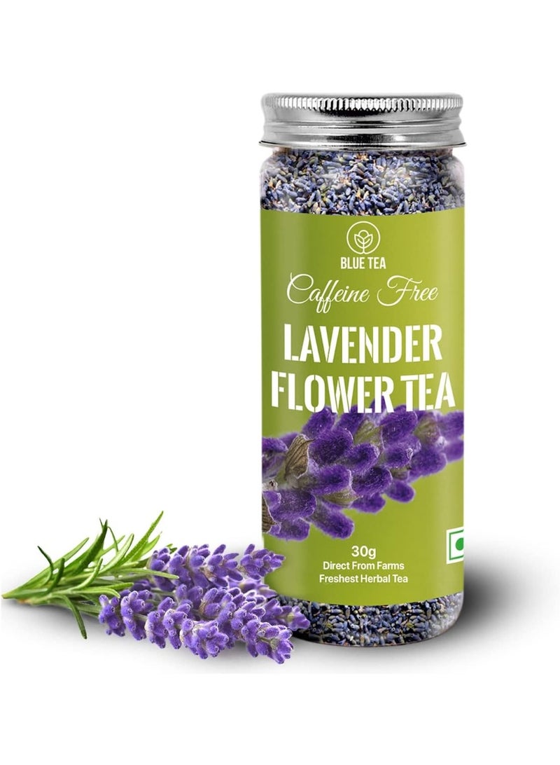 الشاي الأزرق شاي اللافندر 30 جرام | 30 كوب | شاي الأعشاب المهدئ | على أساس الزهور | خالية من الكائنات المعدلة وراثيا | خالي من الكافيين | طبيعي | ظهرت على خزان القرش | جرة PET قابلة لإعادة الاستخدام - Image 1