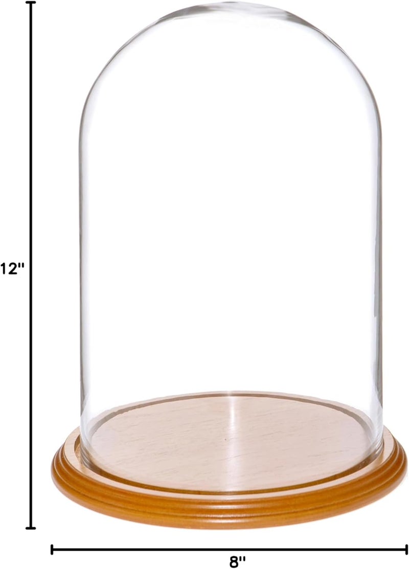 Plymor 8" x 12" Glass Display Dome Cloche (Oak Veneer Base) - Image 2