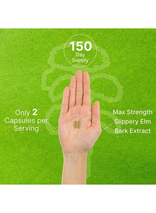 ملحق الصفقة مكمل غذائي DEAL SUPPLEMENT كبسولات الدردار الزلق، 6000 ملغ لكل جرعة - 300 حبة، مصنوعة من مستخلص مسحوق اللحاء الداخلي العضوي - عشبة طبيعية لتهدئة الحلق ودعم الجهاز الهضمي - خالية من الكائنات المعدلة وراثيًا - Image 5