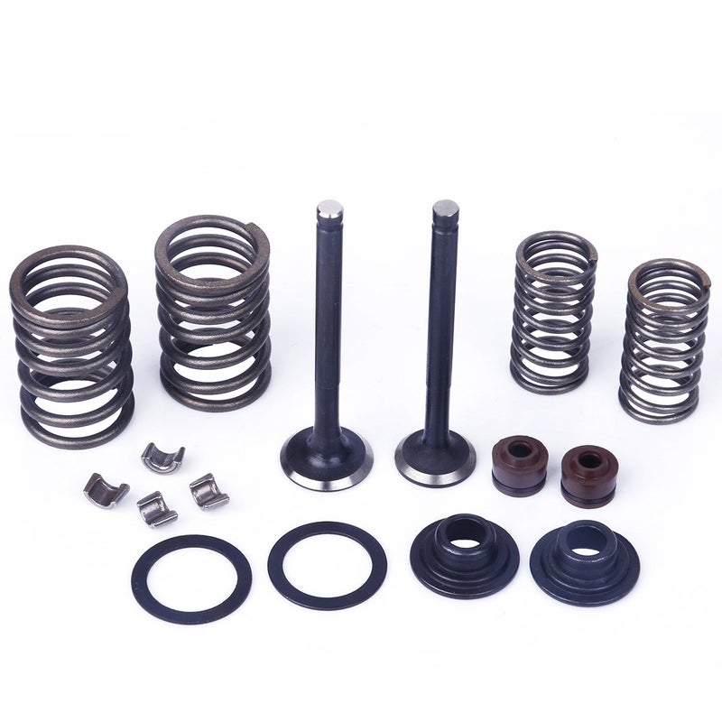 Glixal Deslizadores variadores de polígono de alto rendimiento de 16 x 13 mm, peso de rodillo deslizante de carreras, 139QMB GY6 50 cc - 100 cc para scooter, ciclomotor ATV (6 gramos