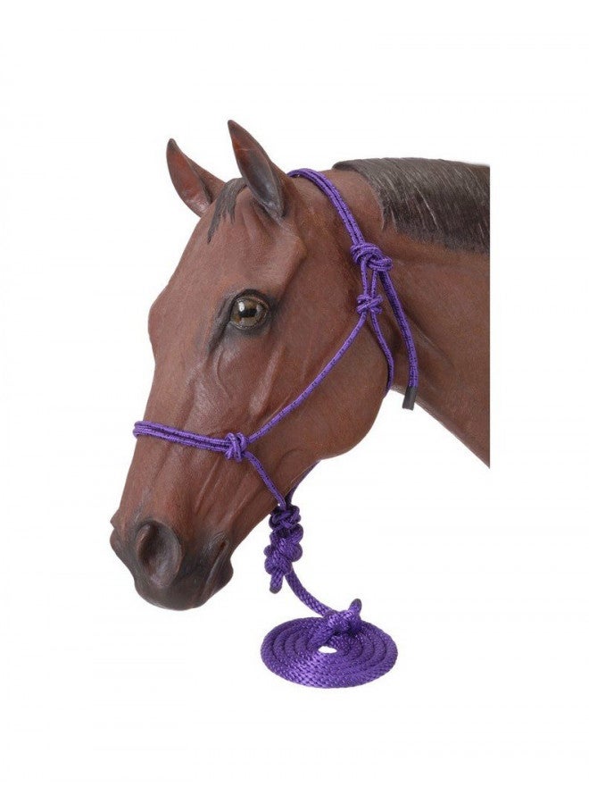 Tough 1 Tough 1 Poly Rope Tied Halter with Lead, Purple , Horse 