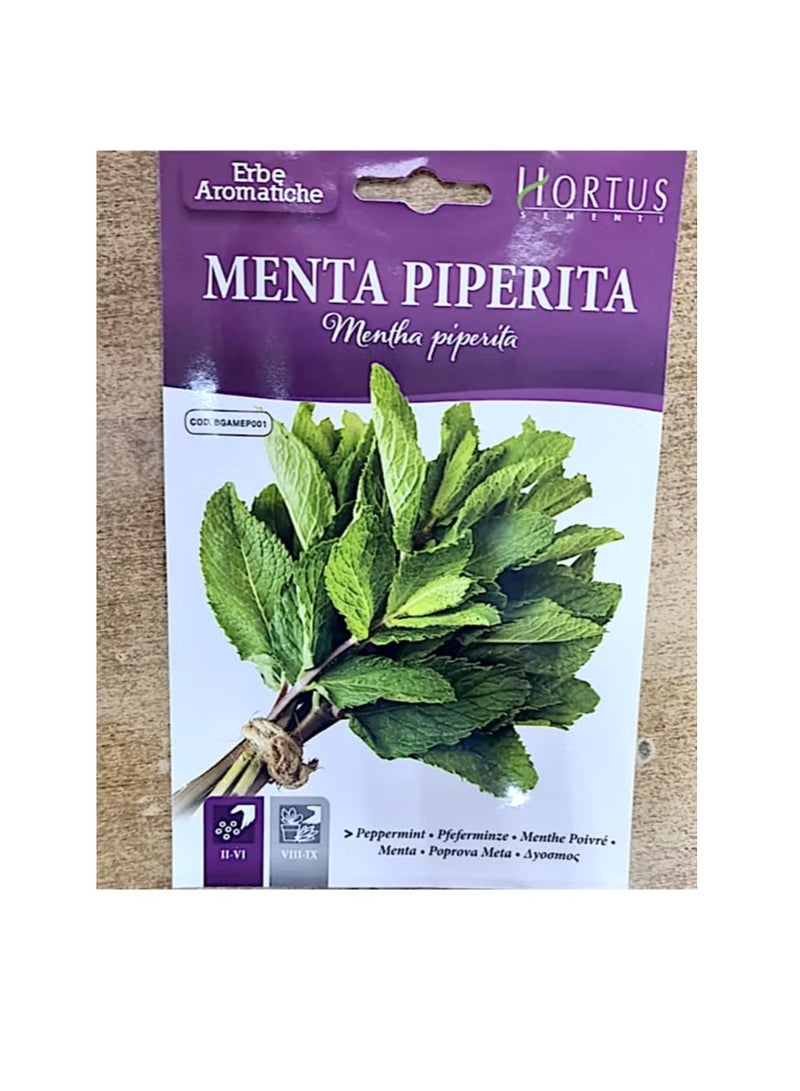 Peppermint Menta Piperita Premium Quality Seeds By Hortus"Garden Care"