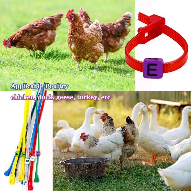 CHENGLAI 100 Pcs Adjustable Chicken Leg Bands, Colorful Poultry Identification Leg Bands with Charms Accessories for Turkey Duck Goose Bird - Image 5
