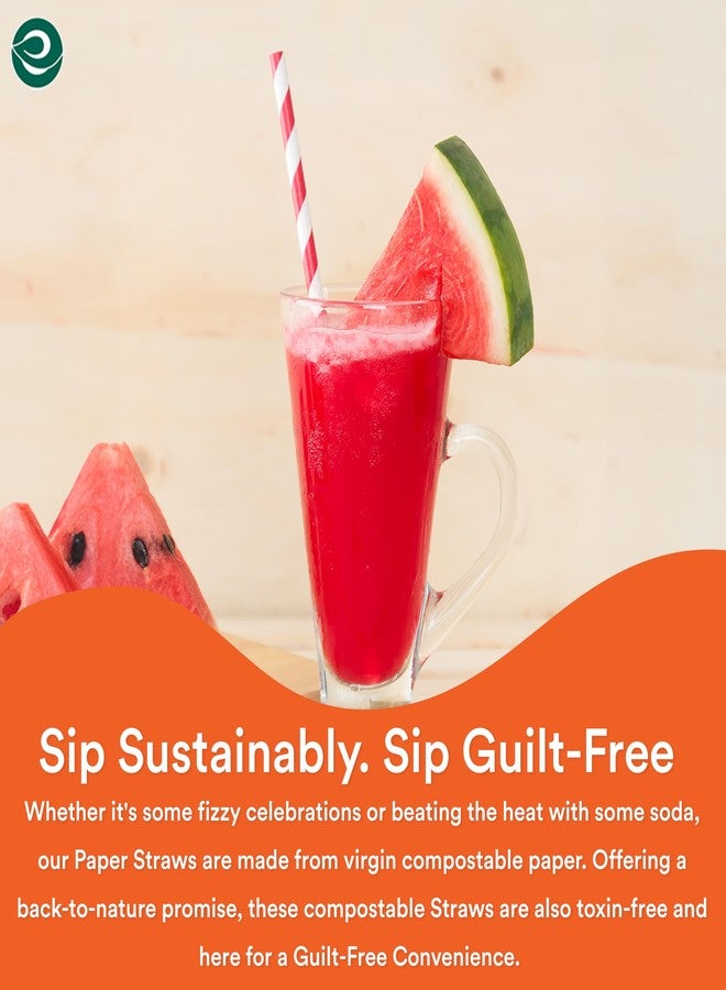 ECO SOUL [6 MM, 100 Count] Biodegradable Multicolor Paper Straws | Disposable Drinking Rainbow Eco-Friendly Compostable Paper Straws | Cocktail Cold Drink Juice Smoothie Non-Bendable Straws (Regular) - Image 5