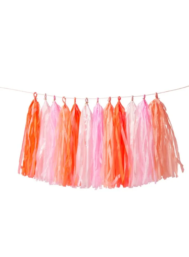 ميري ميري Pink Tassel Garland
