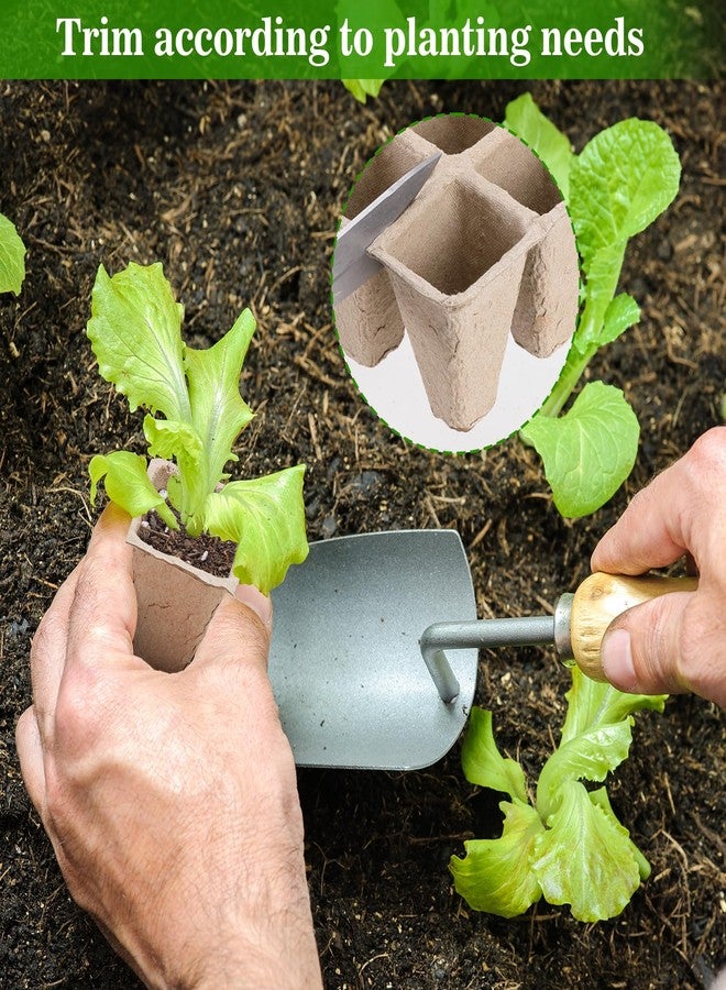 Doter 10 Packs Seedling Starter Trays 120 Cells, Biodegradable Seed Germination Trays Plant Starter Peat Pots for Seedlings - Image 4