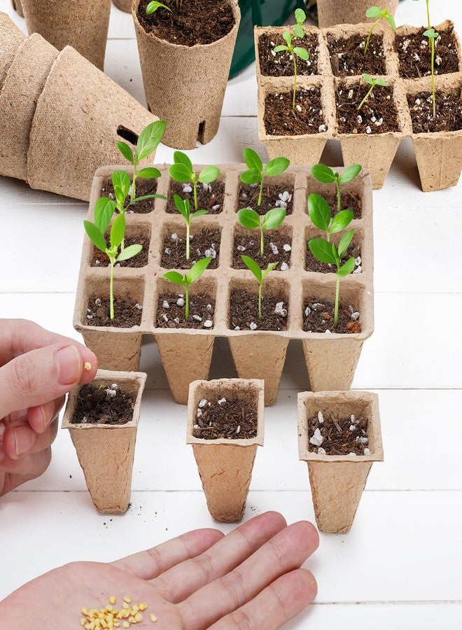 Doter 10 Packs Seedling Starter Trays 120 Cells, Biodegradable Seed Germination Trays Plant Starter Peat Pots for Seedlings - Image 3