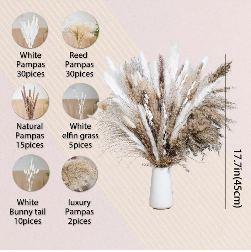 Bluejw G44 Natural Dried Pampas Grass Decor - Small Composable Dried Plants for Christmas, Wedding, Home Flower Arrangements - Image 4