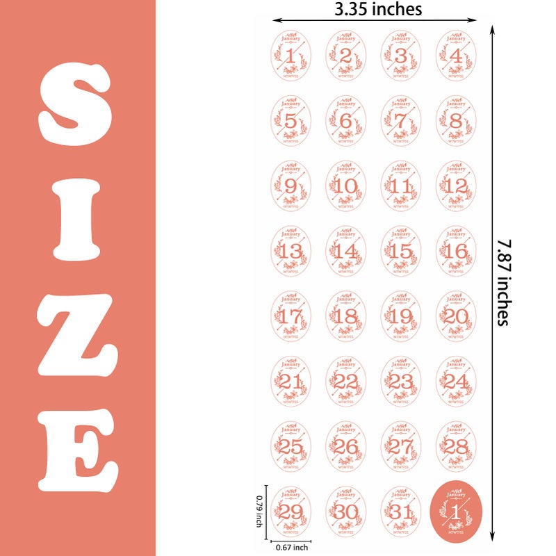 Aixoom 12 Monthly Date Stickers in Colors, 365 Daily Planner Number Stickers, Decorative Sticker Accessories for Customizing Undated Planners, Calendar, Notebooks - Image 2
