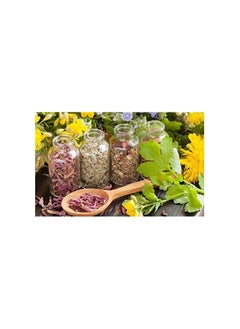 Generic 4 pcs small Glass bottle with Cork Stopper - 7cm Transparent  - Image 3