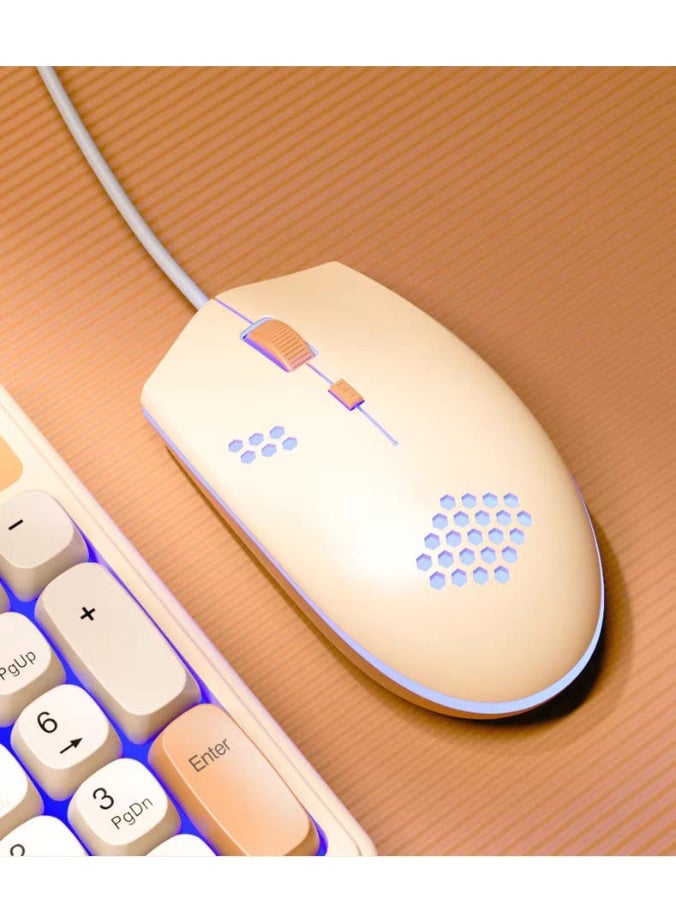 كوجار مجموعة لوحة المفاتيح والفأرة السلكية COUGAR-EGY باللونين الكريمي والبرتقالي (LB-C01) - تصميم مريح وجذاب مع إضاءة خلفية LED - Image 5