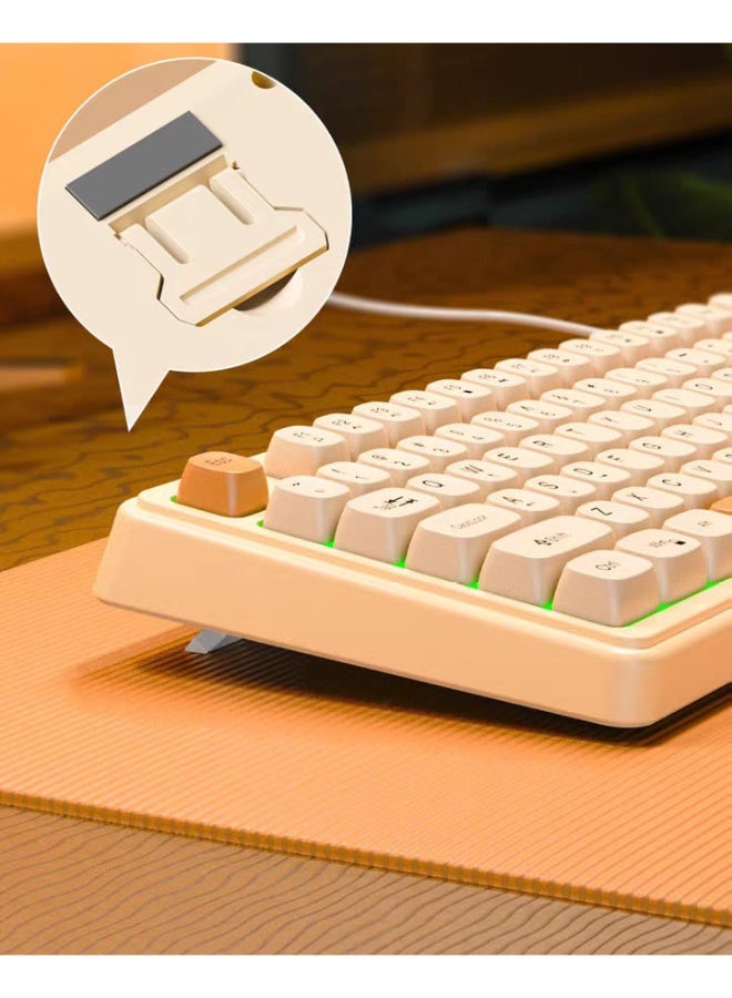 كوجار مجموعة لوحة المفاتيح والفأرة السلكية COUGAR-EGY باللونين الكريمي والبرتقالي (LB-C01) - تصميم مريح وجذاب مع إضاءة خلفية LED - Image 3