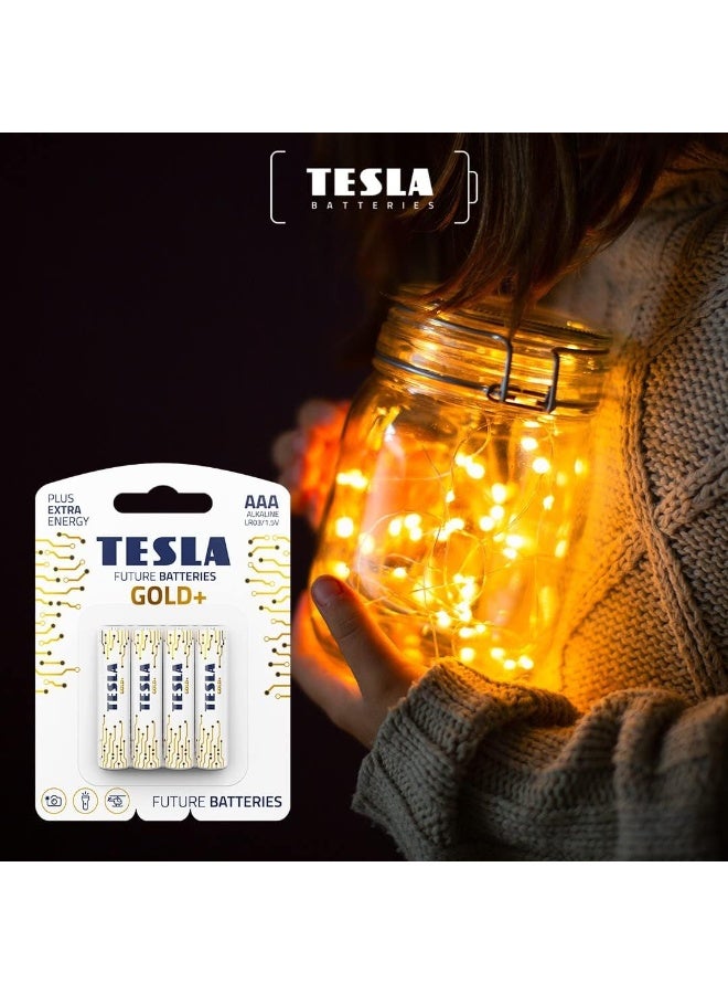 بطاريات تسلا بطاريات GOLD+ AA قلوية LR6 4 قطع - بطاريات قوية لأقصى أداء، طاقة ثابتة 1.5 فولت للأجهزة عالية الاستهلاك مثل الكاميرات والميكروفونات وأدوات القياس، مع تركيبة مانعة للتسرب، وأداء طويل الأمد، وتصميم صديق للبيئة، ومناسبة للاستخدام المنزلي والمهني، طاقة موثوقة تدوم لأطول فترة ممكنة  - Image 3