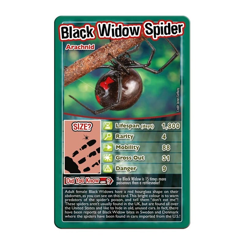 Top Trumps Bugs Classic Card Game, Learn Facts About The Black Widow, Furry Tarantula, Praying Mantis and The Ladybird in This Educational Pack, Gift and Toy for Boys and Girls Aged 6 Plus - Image 4