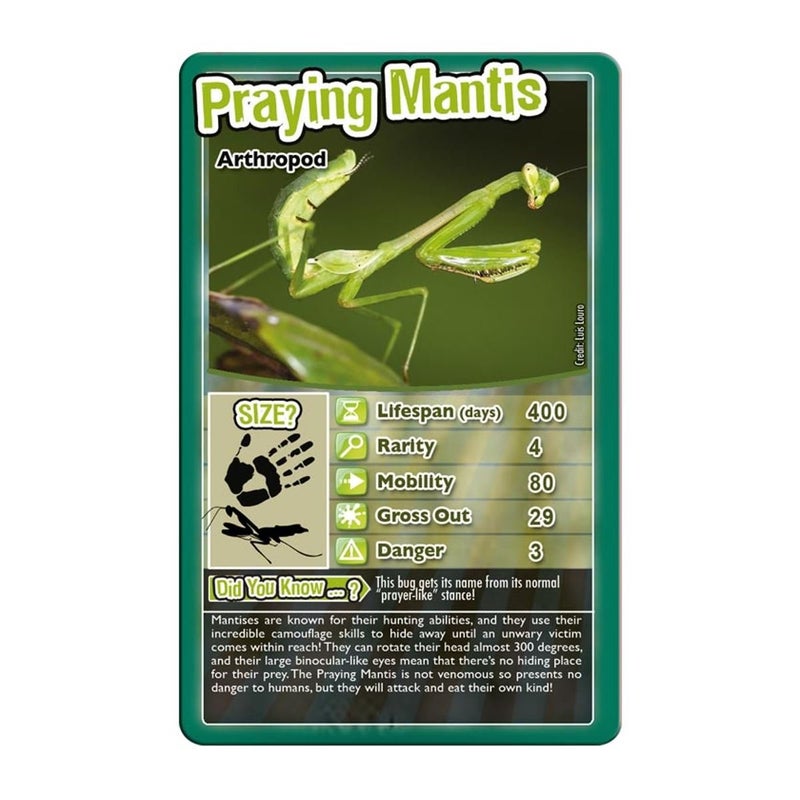 Top Trumps Bugs Classic Card Game, Learn Facts About The Black Widow, Furry Tarantula, Praying Mantis and The Ladybird in This Educational Pack, Gift and Toy for Boys and Girls Aged 6 Plus - Image 2