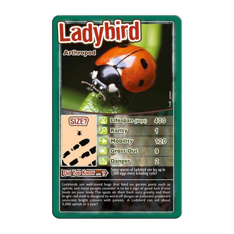 Top Trumps Bugs Classic Card Game, Learn Facts About The Black Widow, Furry Tarantula, Praying Mantis and The Ladybird in This Educational Pack, Gift and Toy for Boys and Girls Aged 6 Plus - Image 3