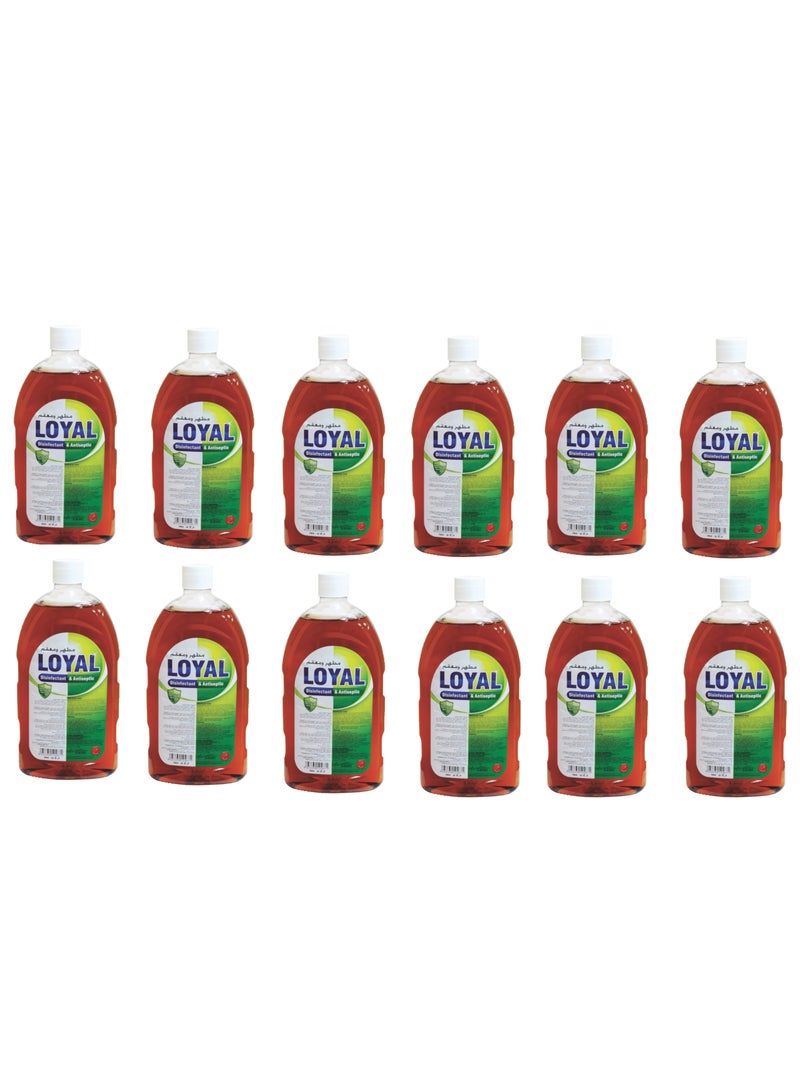 Loyal Disinfectant And Antiseptic 750ml Pack Of 12 - Image 2