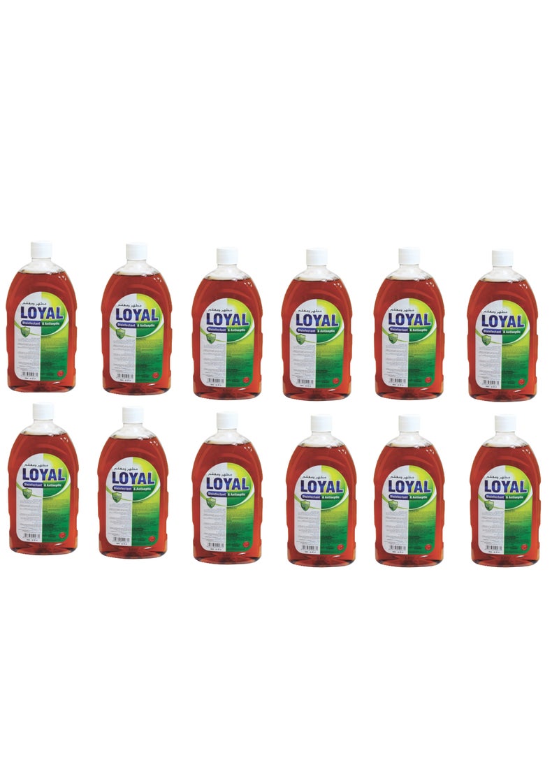 Loyal Disinfectant And Antiseptic 750ml Pack Of 12 - Image 1