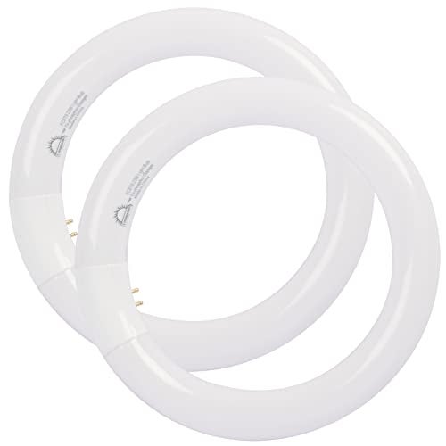 COOGGALAN 8 inch T9 22 Watts Round Light Bulbs FC8T9/DX Circular Fluorescent Light Bulb, FC8T9/DL 22W Circline Bulb, Daylight 6400K, G10q 4 Pin Prong Base, 2 Pack - Image 1