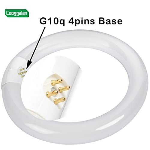 COOGGALAN 8 inch T9 22 Watts Round Light Bulbs FC8T9/DX Circular Fluorescent Light Bulb, FC8T9/DL 22W Circline Bulb, Daylight 6400K, G10q 4 Pin Prong Base, 2 Pack - Image 5