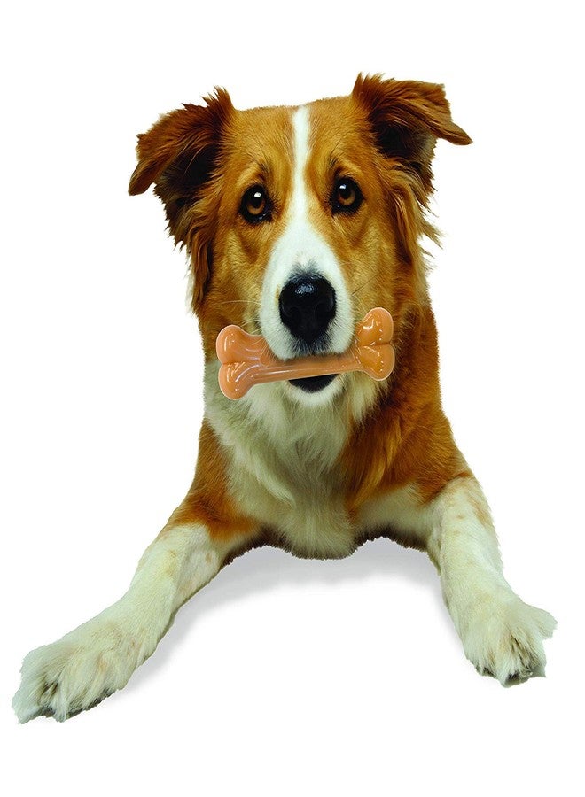 نيلابون بطاقة نيلابون دوراشو بيكون بليستر وولف - Image 5