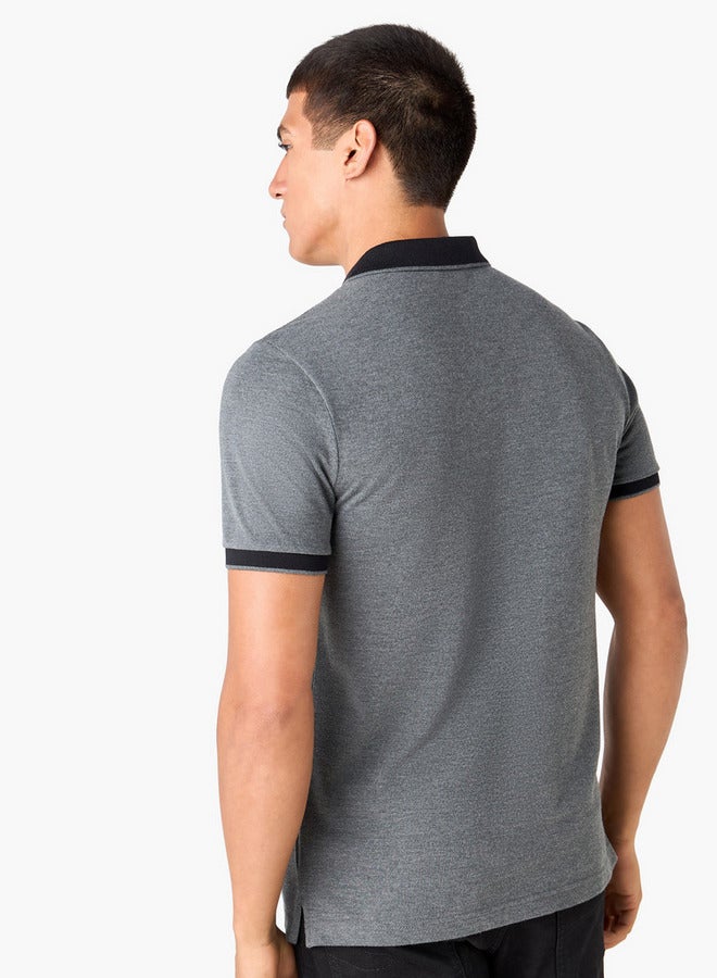 سبلاش فيڤ تيشيرت بولو مطرز - Image 3