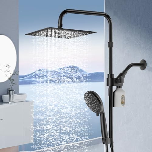 HEROBAI 10" Filtered Rain Shower Head with Handheld Spray Combo, High Pressure Shower Head and Handle Set with Filter, Dual Shower Head with Extra Long Hose and Adjustable Extension Arm (Black) - Image 1
