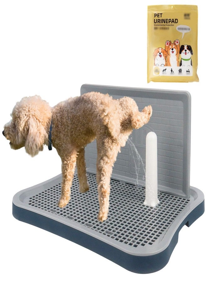 Dmnnlp Dog Pee Pad Holder with Pee Pads, 20.1"x15.6"X1.4" Indoor Dog Potty Pad with Splash Guard for Puppy and Small Dogs, Housebreaking Supplies, Pet Products (Blue) - Image 1