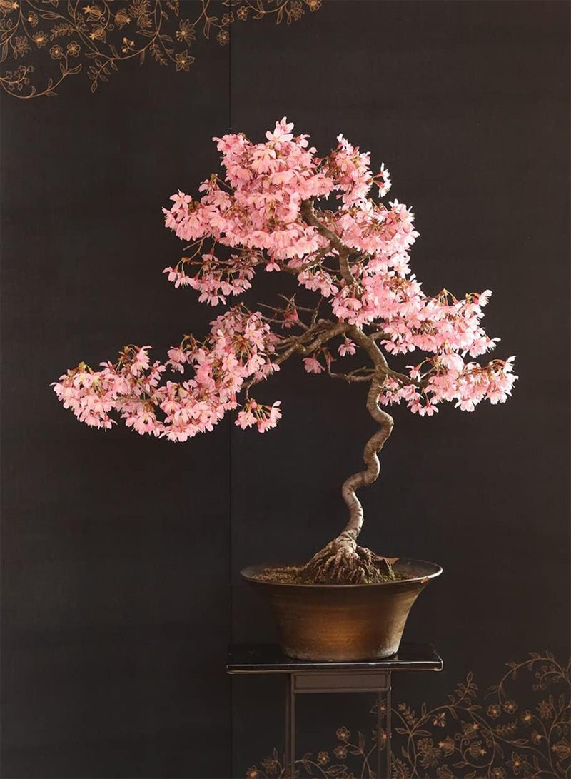 GGOOT 30 Japanese Flowering Cherry Blossom Bonsai Seeds, Sakura Bonsai Seeds - Fresh Exotic Rare Bonsai Seeds - - Image 1