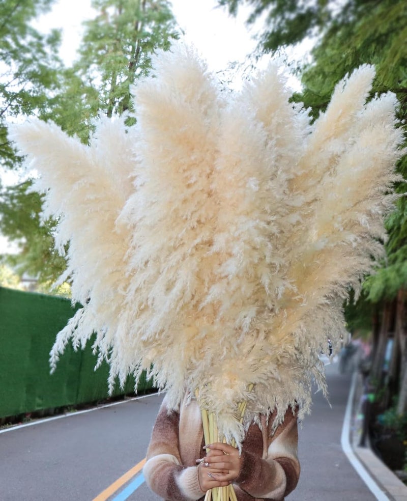 Pasuvsigt 15pcs 40''Dried Pampas Grass Decor Tall-Large pompas Grass-Natural Beige Tall Pampas Grass for Floor Vase,Wedding,Party,Farmhouse,Living Room Floor,Boho Home Decor - Image 1