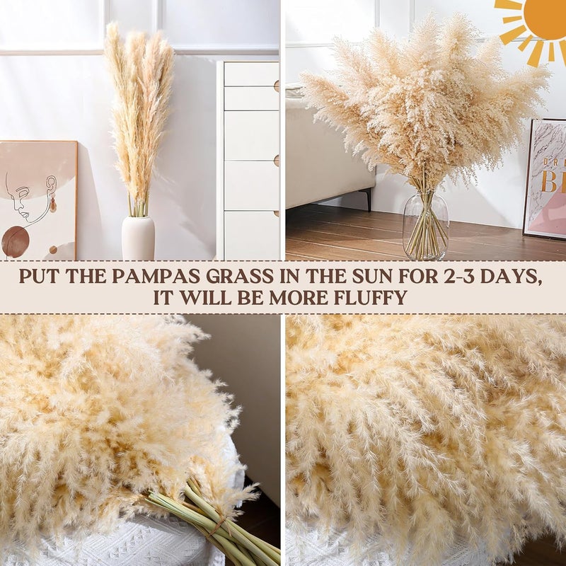 Pasuvsigt 15pcs 40''Dried Pampas Grass Decor Tall-Large pompas Grass-Natural Beige Tall Pampas Grass for Floor Vase,Wedding,Party,Farmhouse,Living Room Floor,Boho Home Decor - Image 3