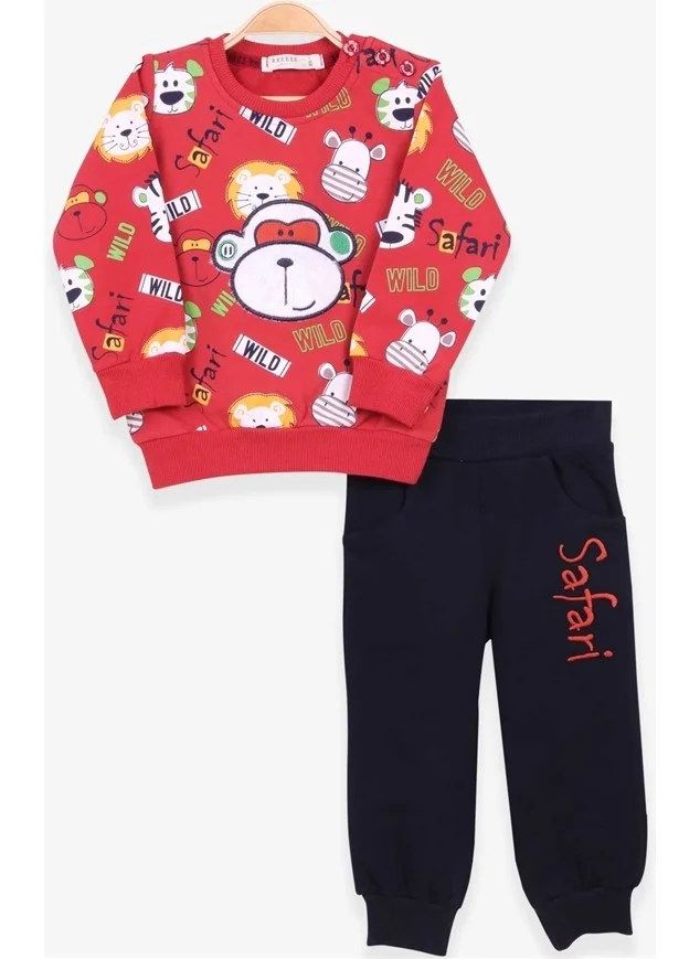 Breeze Boys Tracksuit Set Monkey Embroidered Tile (1-4 Ages)