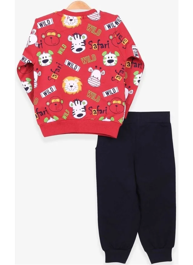 Breeze Boys Tracksuit Set Monkey Embroidered Tile (1-4 Ages)