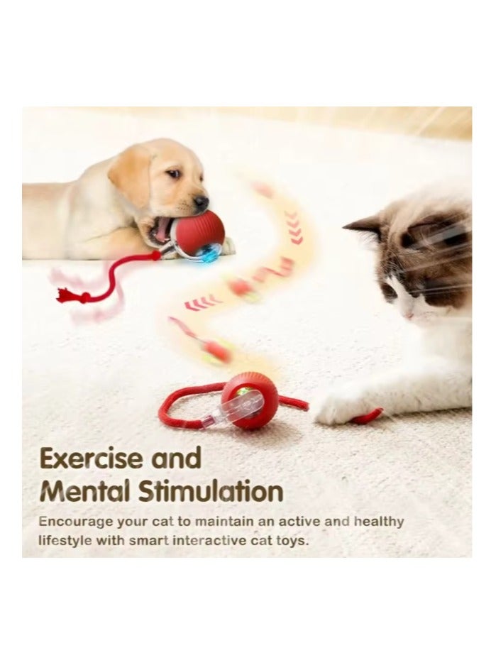 Interactive Cat and Dog Ball Toy, Smart Indoor Automatic Moving Puzzle Ball Boredom Relief USB Charging Fun Toy red color - Image 1
