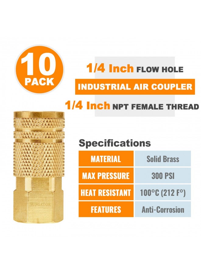 SUNGATOR 1/4 Inch Brass Female Industrial Coupler, SUNGATOR 1/4'' NPT Air Hose Fittings, Quick Connector Air Coupler,1/4 Inch Air Fittings for Auto Shop, Industrial Air Coupler Kit with Storage Case, 10 Pack - Image 1
