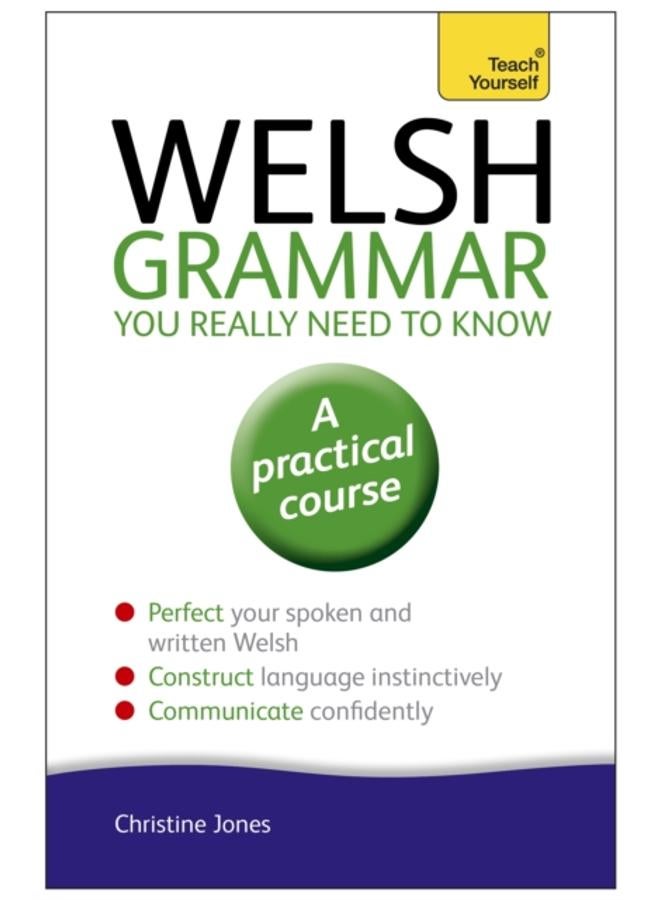 Welsh Grammar You Really Need to Know: Teach Yourself 