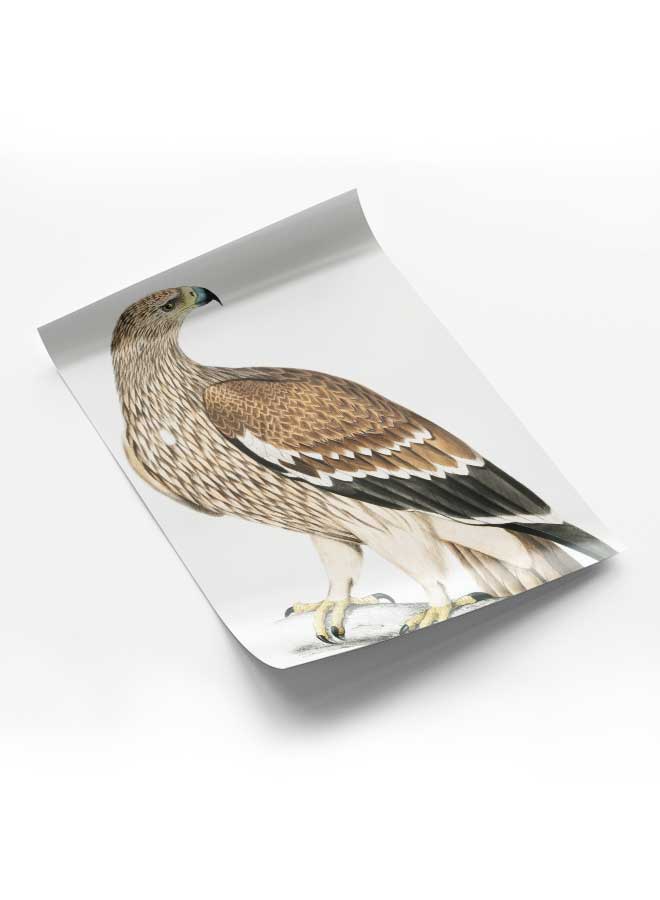 لوحة بوستر ديكور لوحة بدون فريم مع أربع قطع منفصلة من اللاصق ذو الوجهين تصميم صقر غرفة النوم غرفة المعيشة وديكور المكتب - Image 1