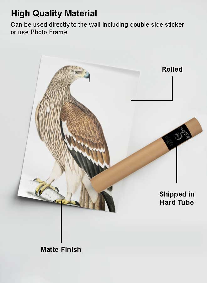 لوحة بوستر ديكور لوحة بدون فريم مع أربع قطع منفصلة من اللاصق ذو الوجهين تصميم صقر غرفة النوم غرفة المعيشة وديكور المكتب - Image 2