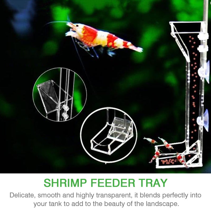 Shrimp Feeder Tube Fish Shrimp Transparent Shrimp Feeding Tool - Image 5