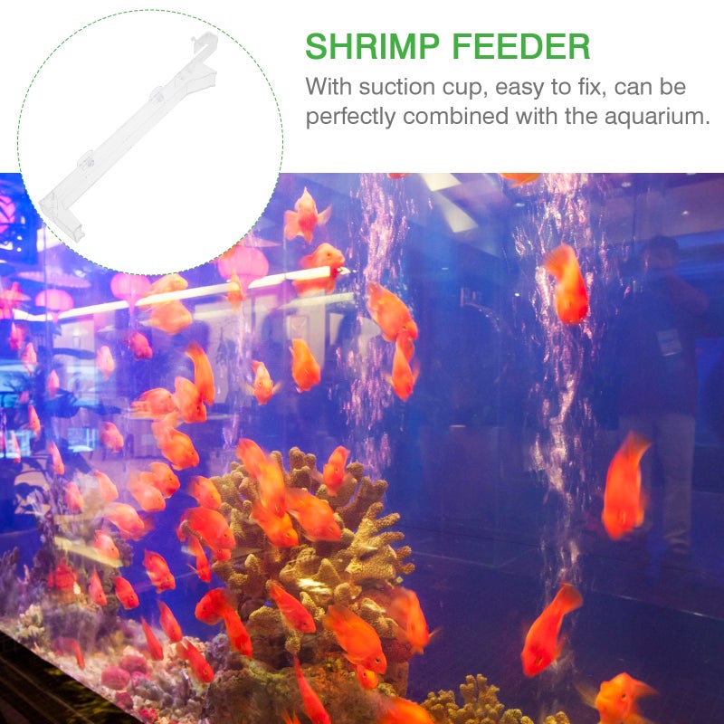Shrimp Feeder Tube Fish Shrimp Transparent Shrimp Feeding Tool - Image 2