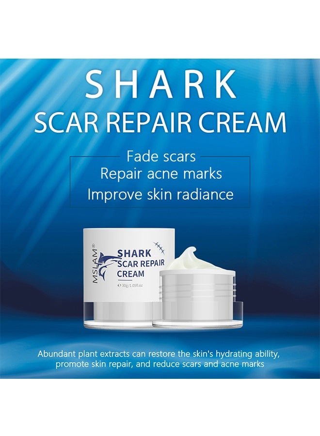 MSLAM Scar Repair Cream， Facial And Body Scar Repair，Lightening Scars And Acne Marks， Using Natural Ingredients (30g) - Image 2