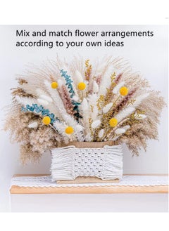 Kutis 116-Piece Natural Pampas Grass Decor 46cm Dried Flowers For Decoration Artificial Flower Bouquet For Flower Arrangements Home Decor Boho  - Image 2