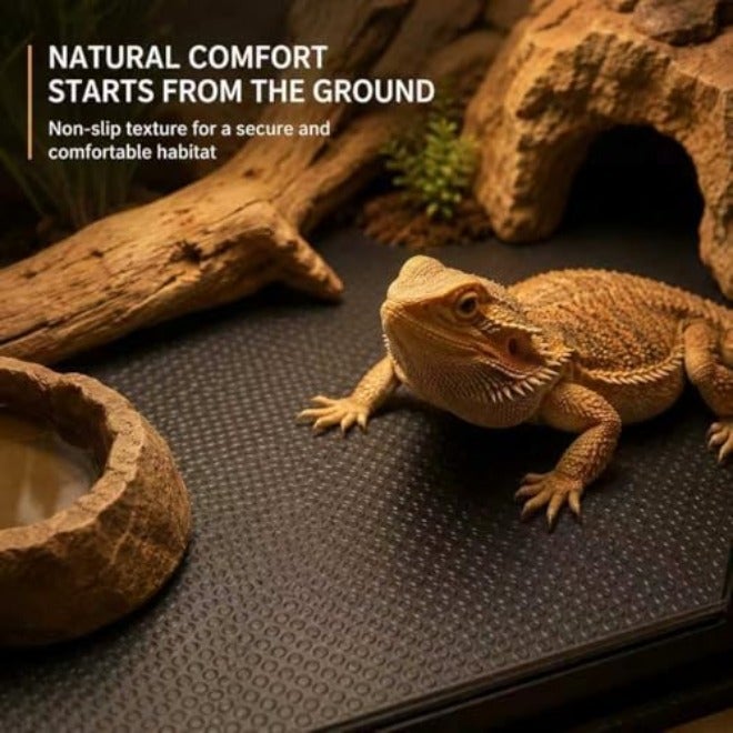 RUNANIA 10Pcs Bearded Dragon Tank Accessories, Reptile Hammock Plants Bridge Jungle Climber Vines for Snakes Bearded Dragon Chameleon Gecko  Lizard - Image 5