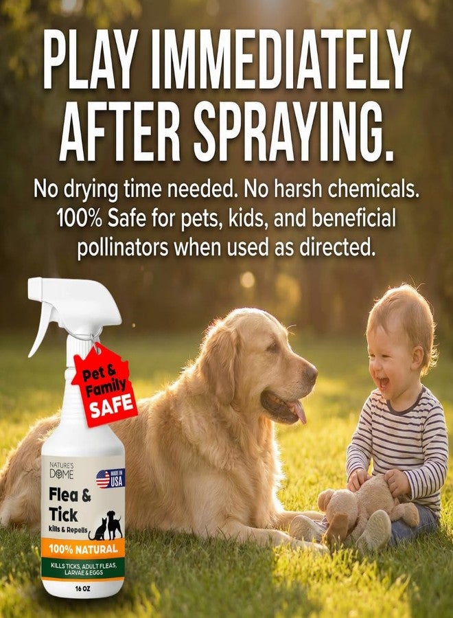 NATURE'S DOME Nature’s Dome Flea & Tick Starter Kit – Makes 3 Bottles (16 oz Each) – Plant-Based, Eco-Friendly Formula – Kills & Repels Fleas, Ticks, Larvae & Eggs – Safe for Pets, Kids & Plants - Image 5