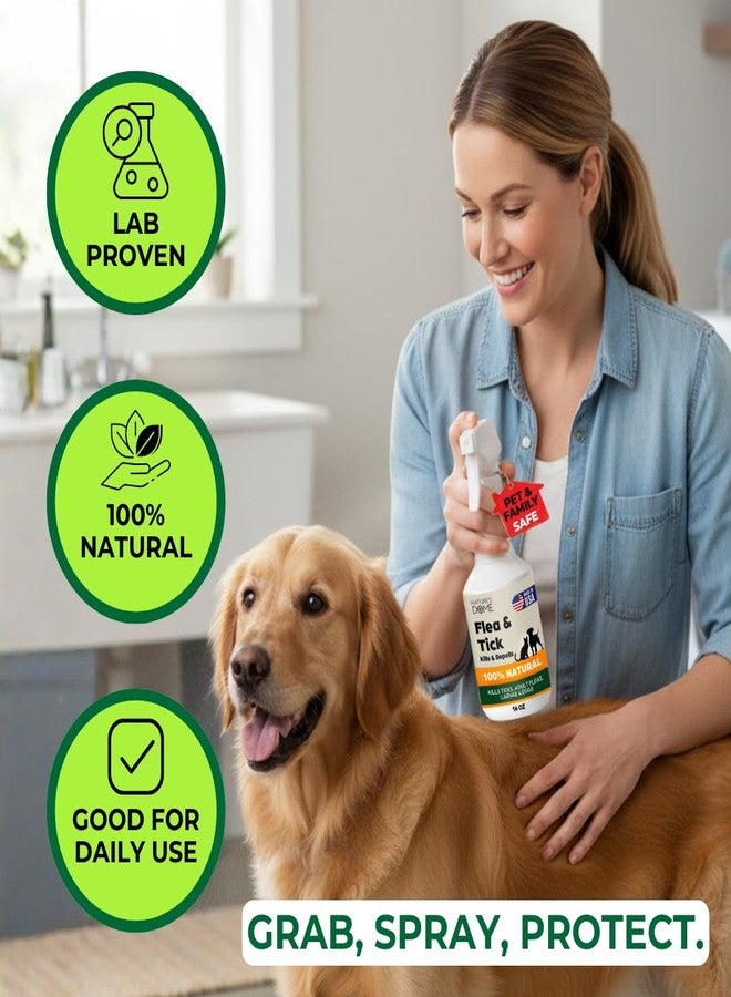 NATURE'S DOME Nature’s Dome Flea & Tick Starter Kit – Makes 3 Bottles (16 oz Each) – Plant-Based, Eco-Friendly Formula – Kills & Repels Fleas, Ticks, Larvae & Eggs – Safe for Pets, Kids & Plants - Image 4