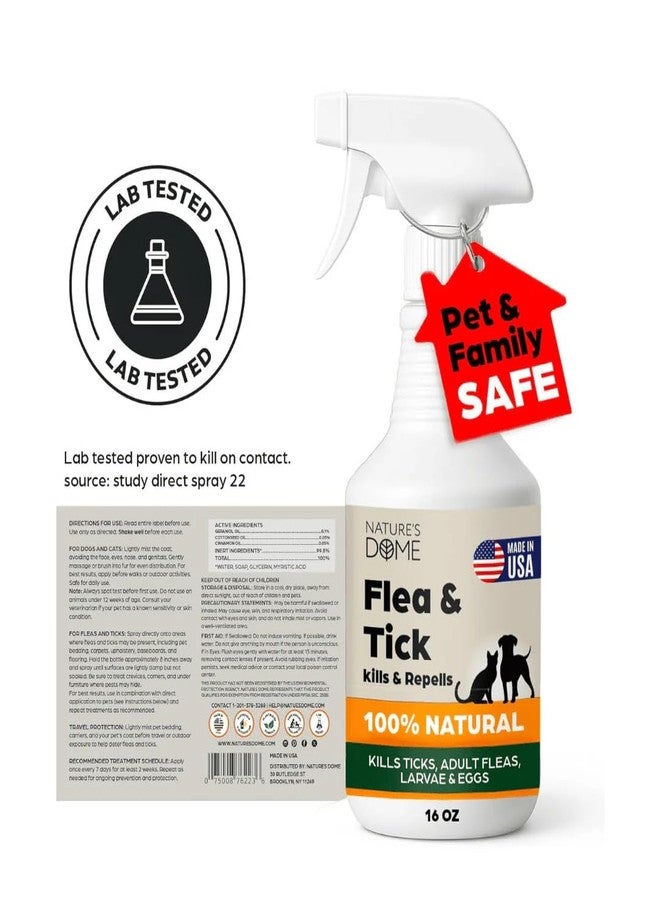 NATURE'S DOME Nature’s Dome Flea & Tick Starter Kit – Makes 3 Bottles (16 oz Each) – Plant-Based, Eco-Friendly Formula – Kills & Repels Fleas, Ticks, Larvae & Eggs – Safe for Pets, Kids & Plants - Image 2