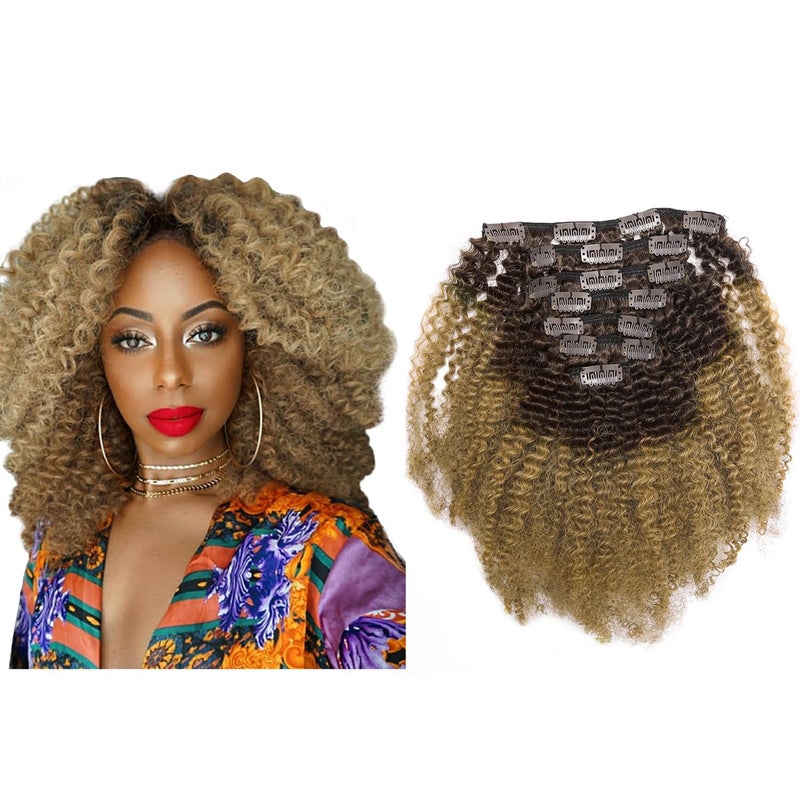 Lacer Hair Afro Kinky Curly Clip in Human Remy Hair Extensions Brazilian Curly Clips Hair Extensions 4B 4C 8A Natural Black to Strawberry Blonde Clip on For Black Women 1022 inch