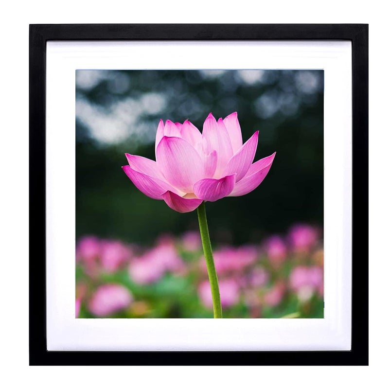 Mxtallup Mxtallup 40x40 Diamond Painting Frames Picture WoodDisplay Pictures16x16 Inch 40x40 cm with Mat or 18x18 Inch45x45cm Without Mat Diamond Embroidery Photo Frame Diamond Art frames Black TK007  - Image 1