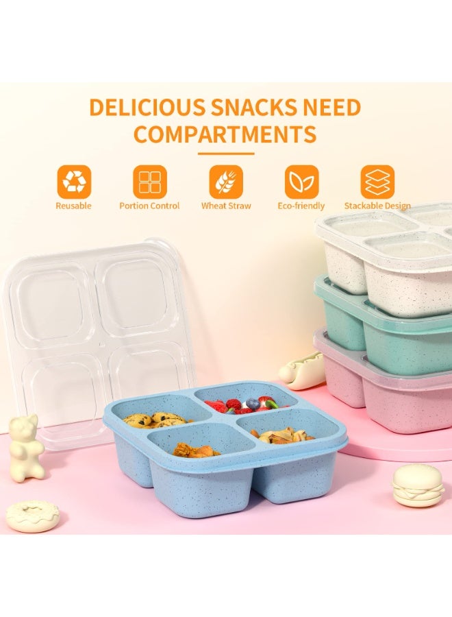 هومستر علبة وجبات خفيفة 4 قطع علبة قابلة لإعادة الاستخدام حاوية تحتوي على 4 وجبات مقصورة مع صينية تخزين فاكهة جافة ذات زيت شفاف صحن مقاوم للتسريب طبق خفيف للمنزل والسفر قابلة لإعادة الاستخدام حاوية تحضير وجبات مقصورة 4 مناسبة للأطفال والبالغين (أخضر/أزرق/وردي/بيجي) 16.5*15.5*5.5 سم - Image 5